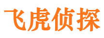 镇江侦探